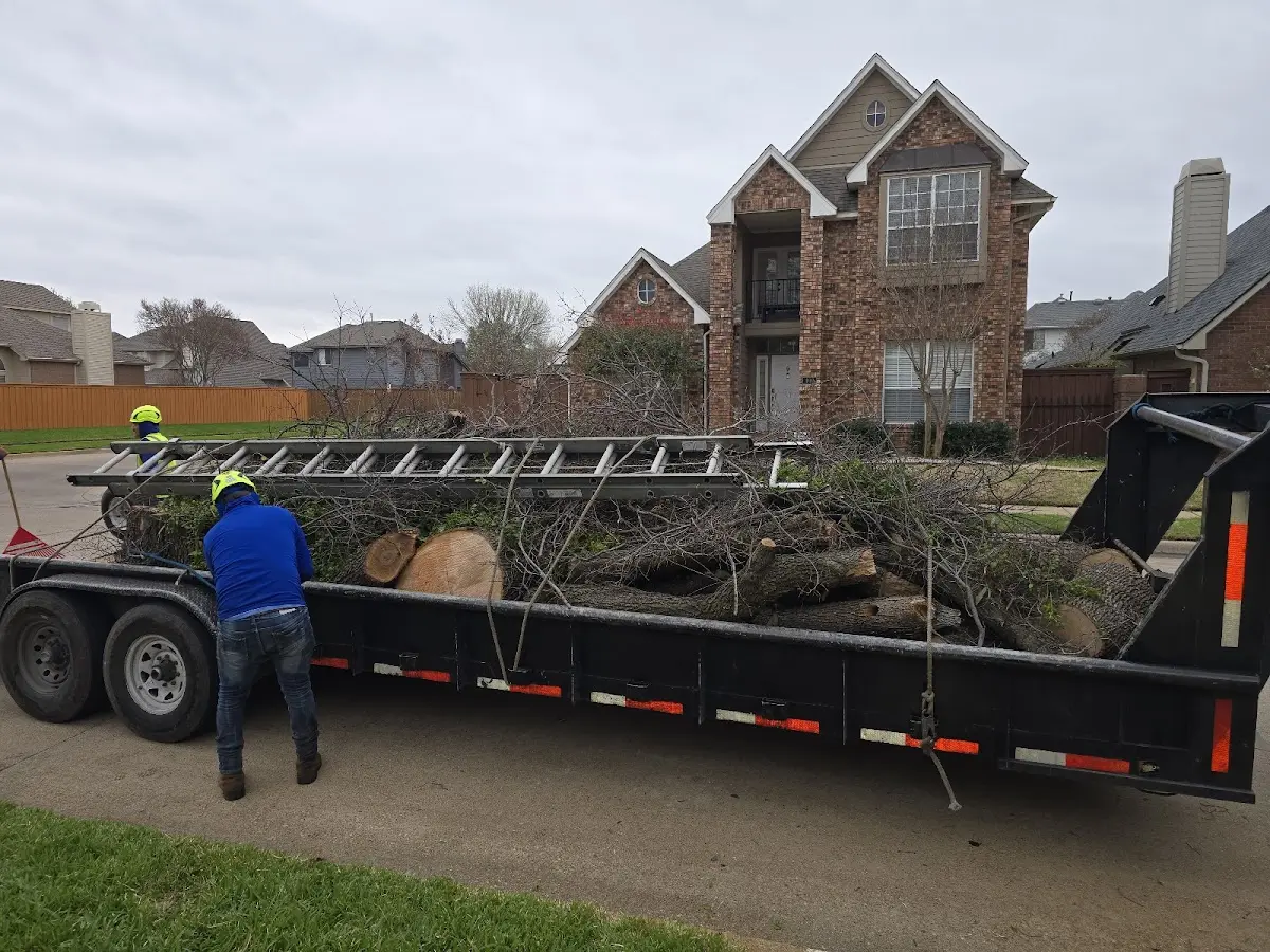 Expert Tree Pest Control with proper safety equipment in North Baltimore